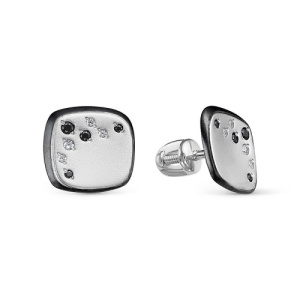 С0500066 Серьги (Ag 925)