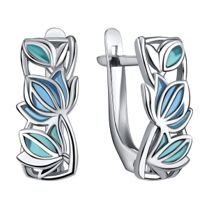 10-79-0000-17131 Серьги (Ag 925)